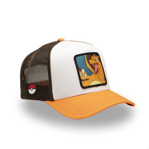 CHARIZARD4 CAPSLAB CHARIZARD