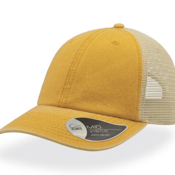 CASE MUSTARD