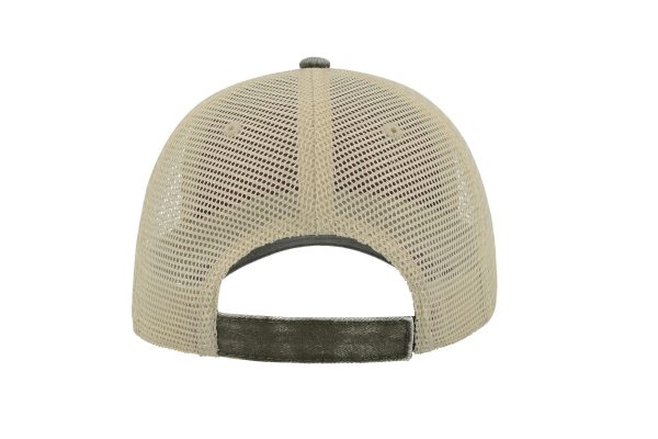 CASE OLIVE
