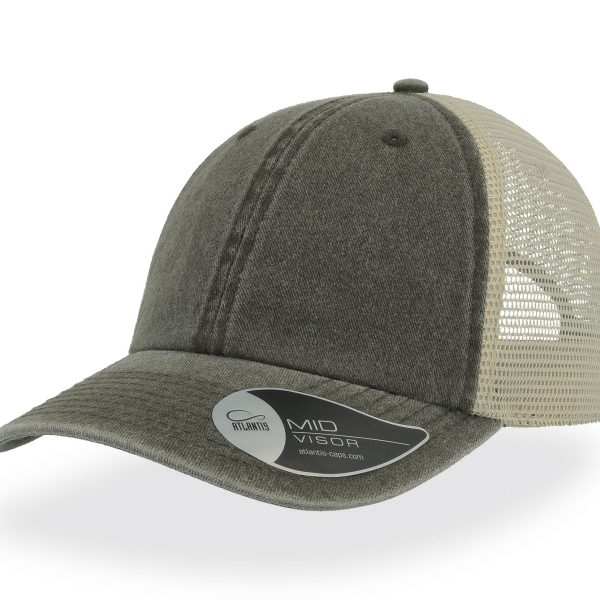 CASE OLIVE