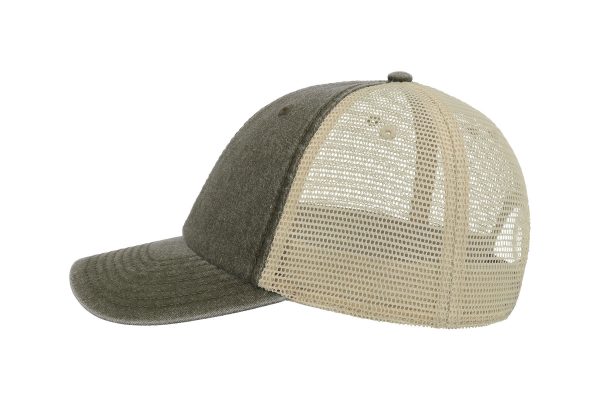 CASE OLIVE