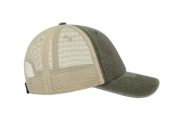 CASE OLIVE