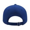 HD_BACK_CARGRY CARGO ROYAL BLUE