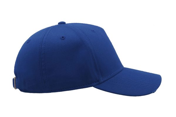 HD_SIDE2_CARGRY CARGO ROYAL BLUE