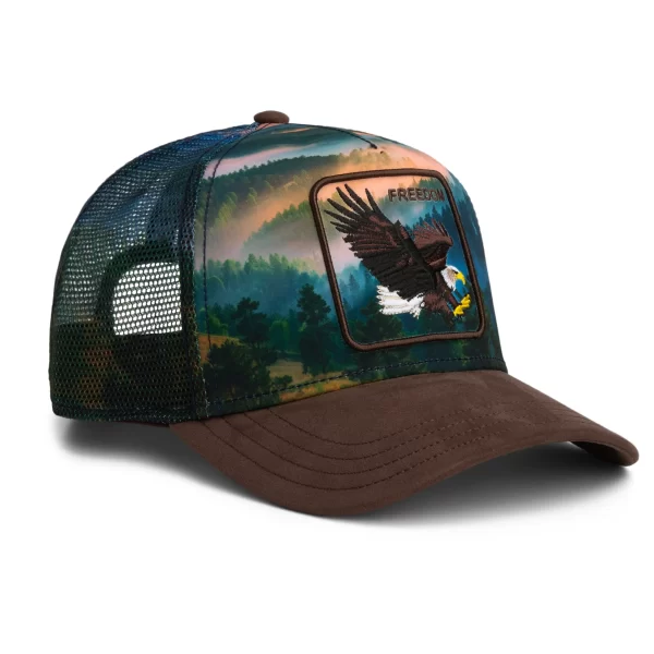 101-2702-GRO01-L02 Baseball Cap Eagle In The Element, Multicolor - Goorin Bros