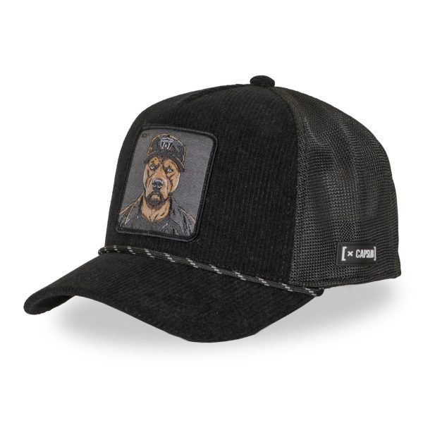 CAPSLAB PIT BULL BLACK