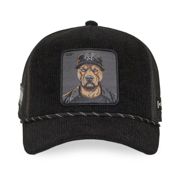 CAPSLAB PIT BULL BLACK