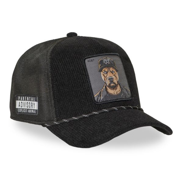 CAPSLAB PIT BULL BLACK