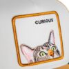 Kids Baseball Cap Curious Cat Mini, Ochre - Goorin Bros